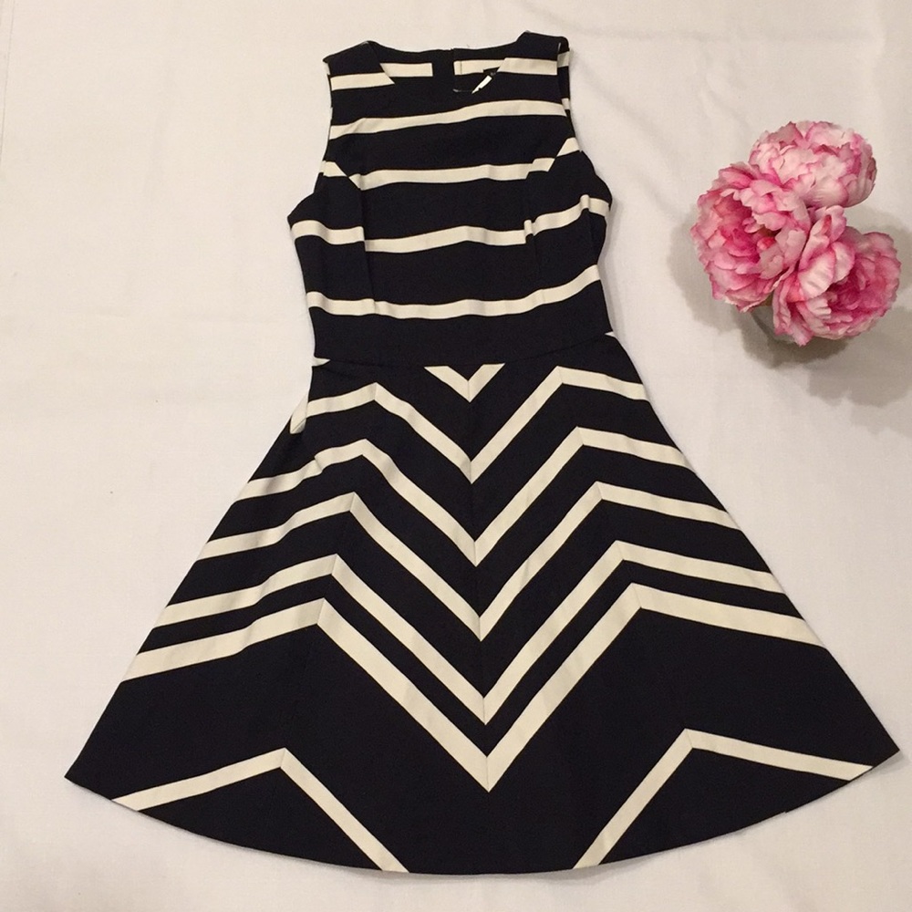 NWT Banana Republic striped back zip dress